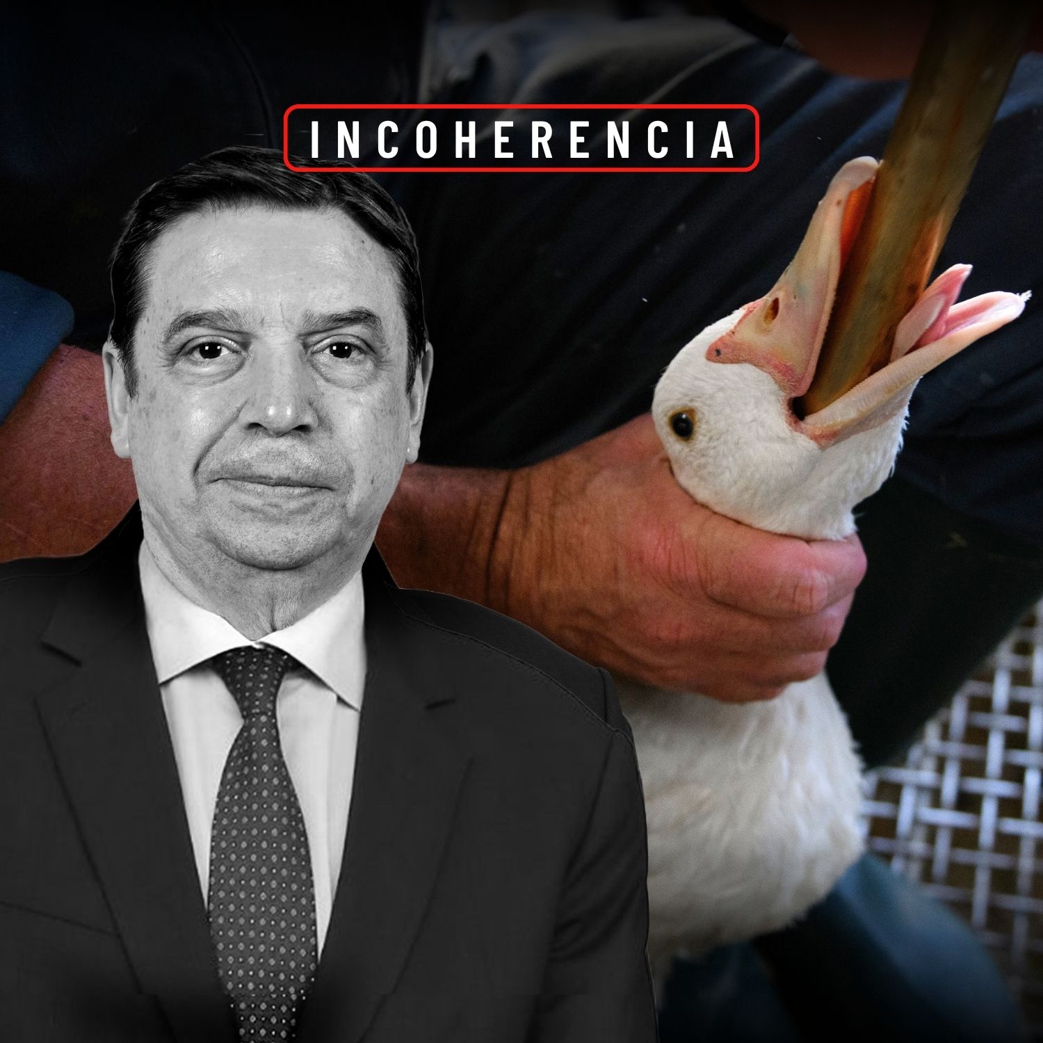 Noticia Luis Planas FAO