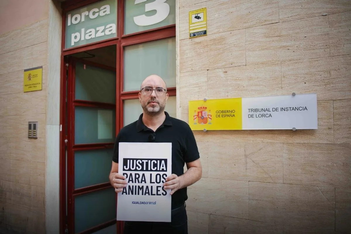 Aplazan juicio a la granja grabada junto a Jordi Évole 2 Javier Moreno, cofundador de Igualdad Animal, ante el Tribunal de Instancia de Lorca para el juicio de la granja de cerdos grabada por Igualdad Animak junto a Jordi Évole.