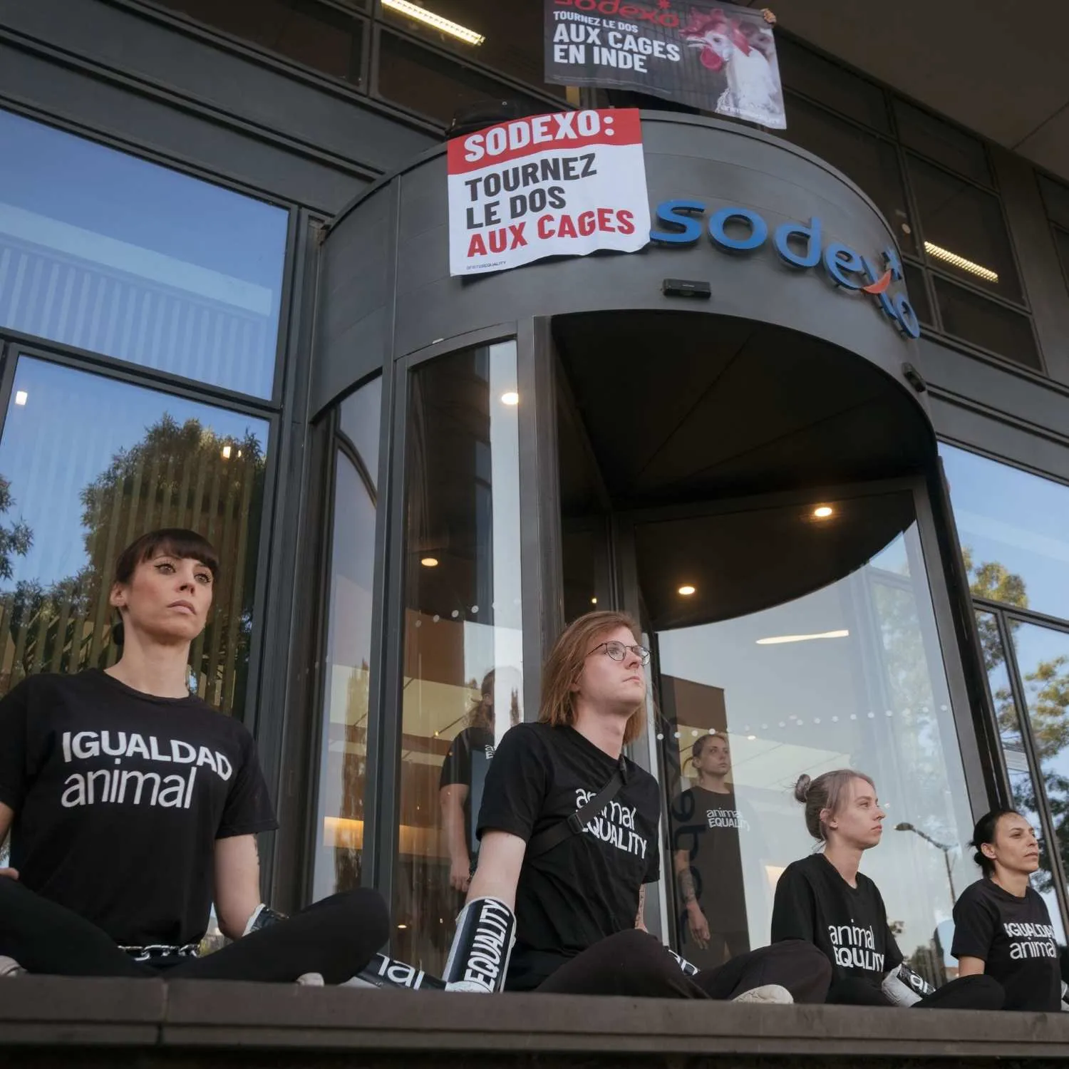 Activistas ponen fin a la protesta contra Sodexo tras avances hacia el compromiso de huevos sin jaulas