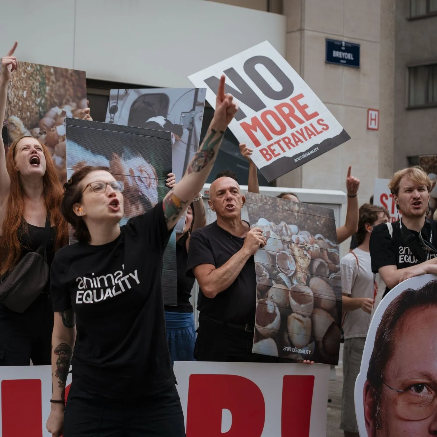 La Comisión Europea fija por primera vez un calendario para prohibir las jaulas tras meses de presión de Igualdad Animal 1 La Comisión Europea fija por primera vez un calendario para prohibir las jaulas tras meses de presión de Igualdad Animal