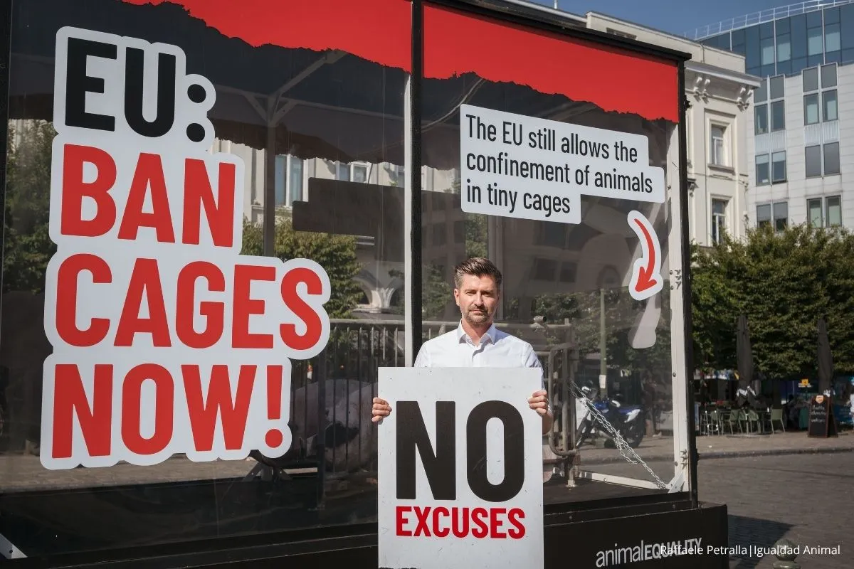 Noticia calendario Comisión Europea 