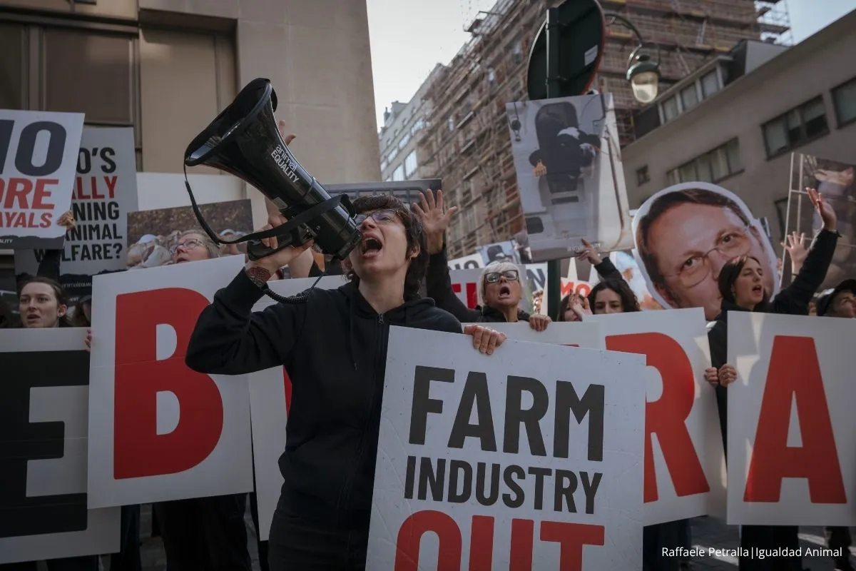 Sin pruebas, sin explicaciones: ¿por qué desapareció la prometida reforma de bienestar animal de la Comisión Europea? 1 Noticia Comisión Europea FOI programa trabajo