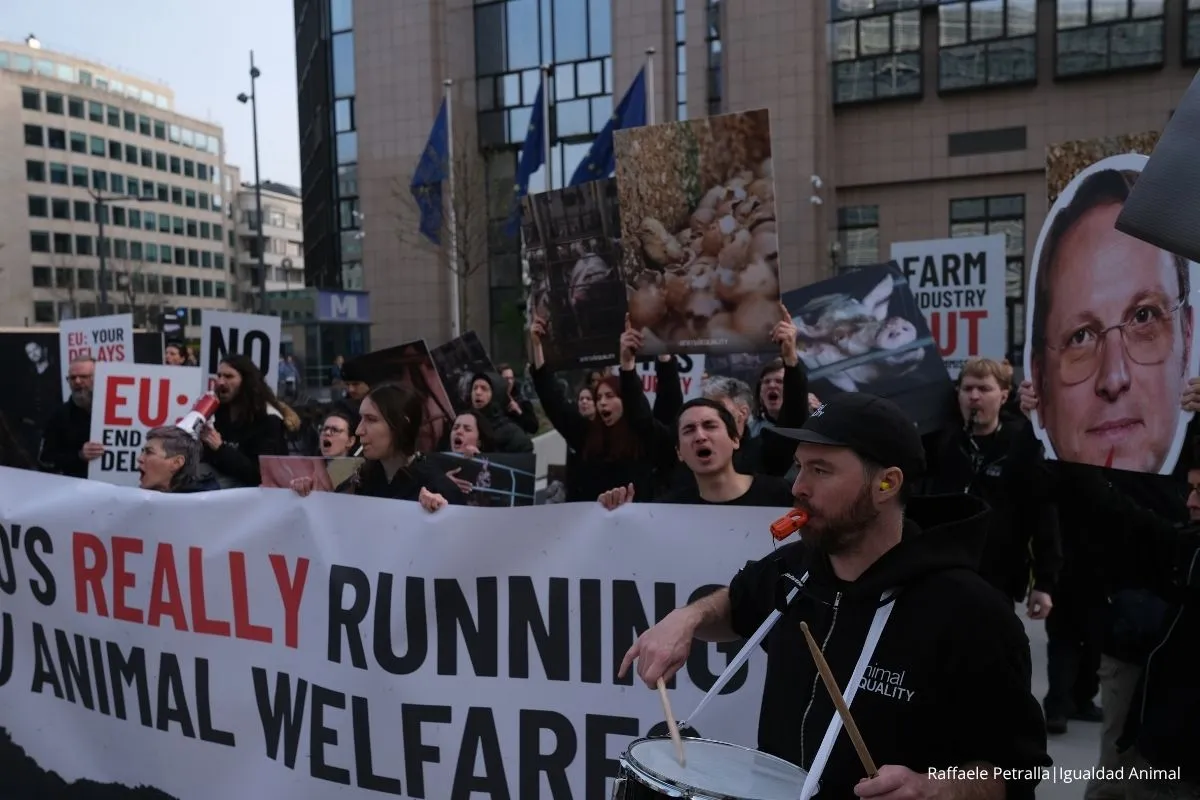 Sin pruebas, sin explicaciones: ¿por qué desapareció la prometida reforma de bienestar animal de la Comisión Europea? 2 Noticia Comisión Europea FOI programa trabajo