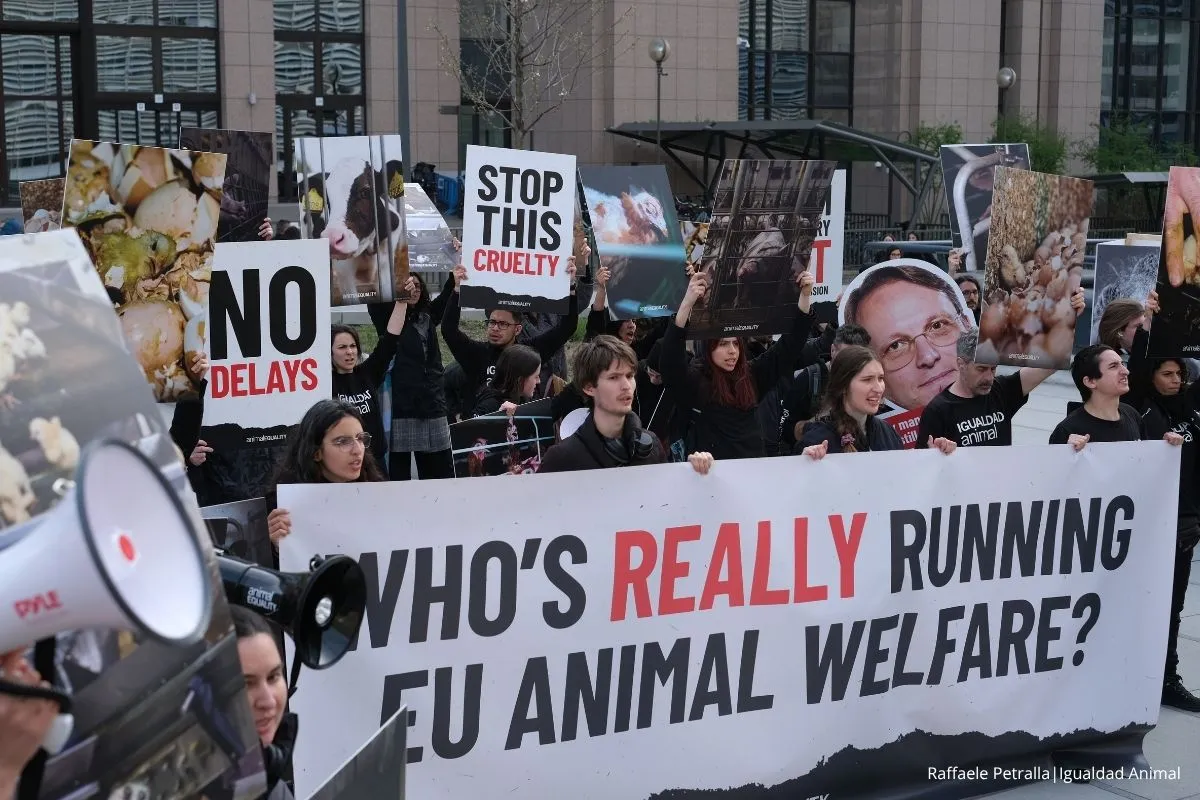 Sin pruebas, sin explicaciones: ¿por qué desapareció la prometida reforma de bienestar animal de la Comisión Europea? 3 Noticia Comisión Europea FOI programa trabajo