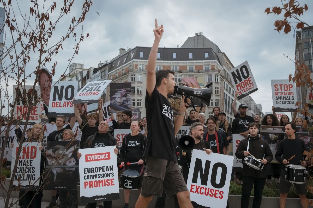 Histórica movilización por los animales en Bruselas 4 Activistas por los animales protestan frente al edificio Berlaymont en Bruselas.