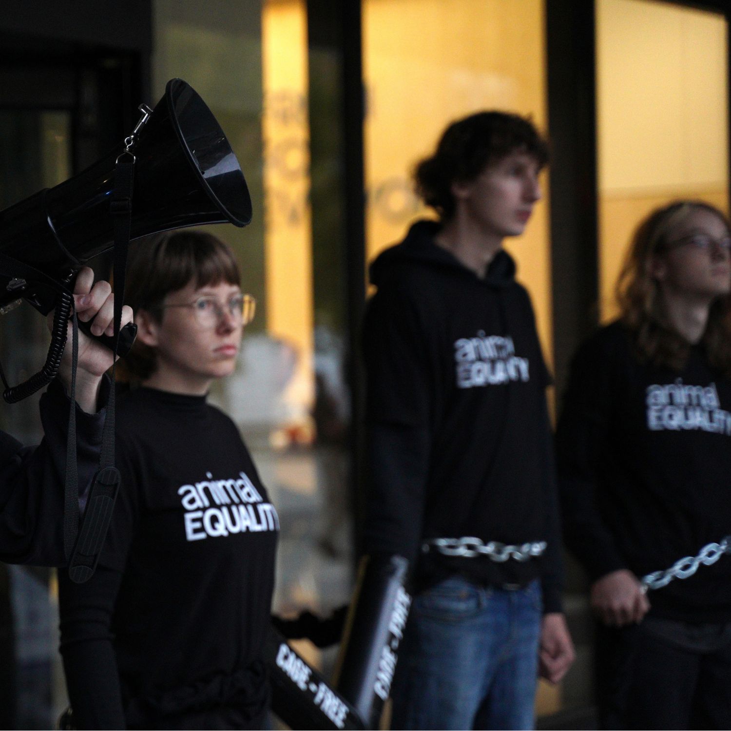 Noticia activistas de Igualdad Animal detenidos tras encadenarse frente a Kroger