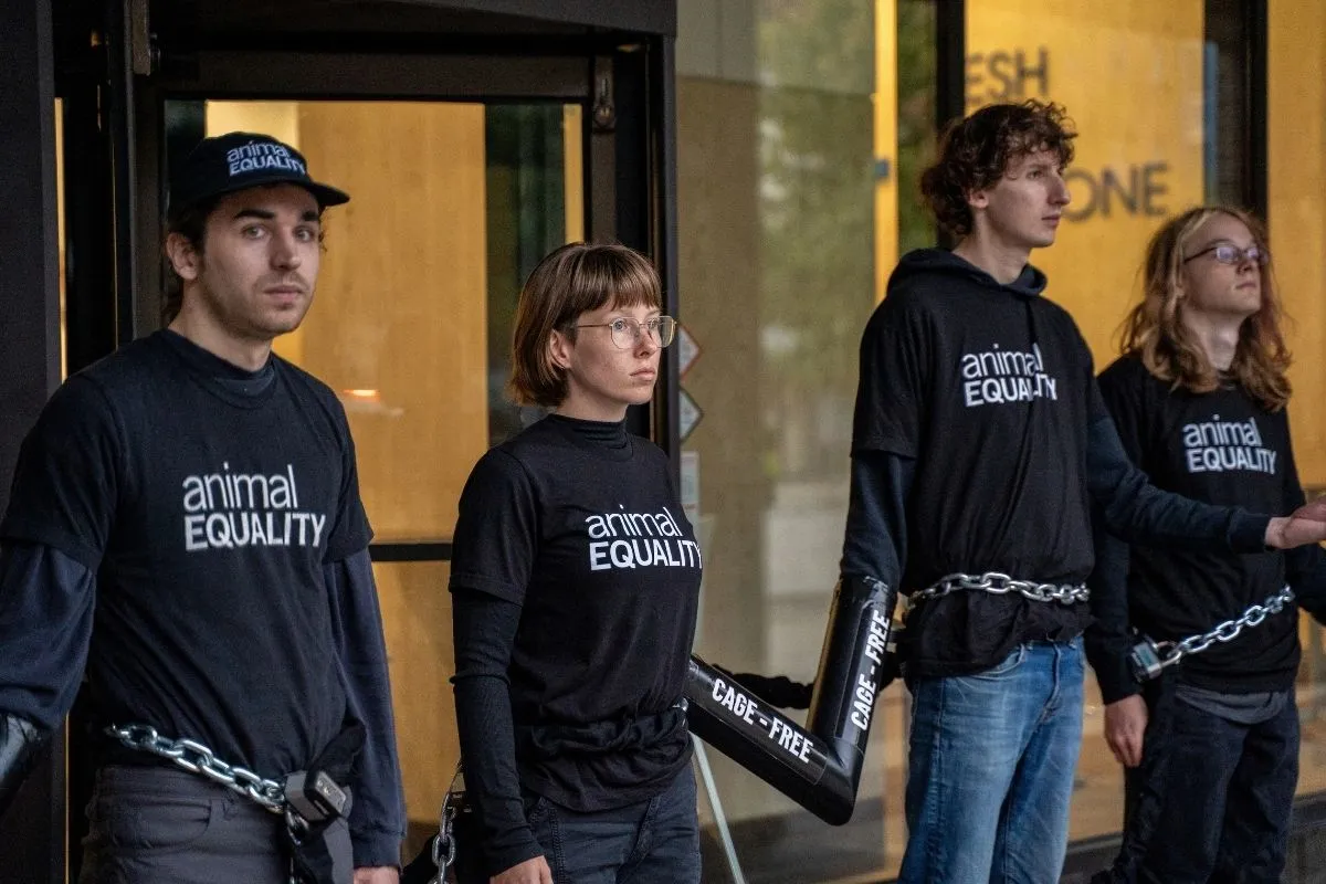 9 activistas de Igualdad Animal detenidos tras encadenarse frente a la multinacional Kroger 1 Noticia activistas de Igualdad Animal detenidos tras encadenarse frente a Kroger