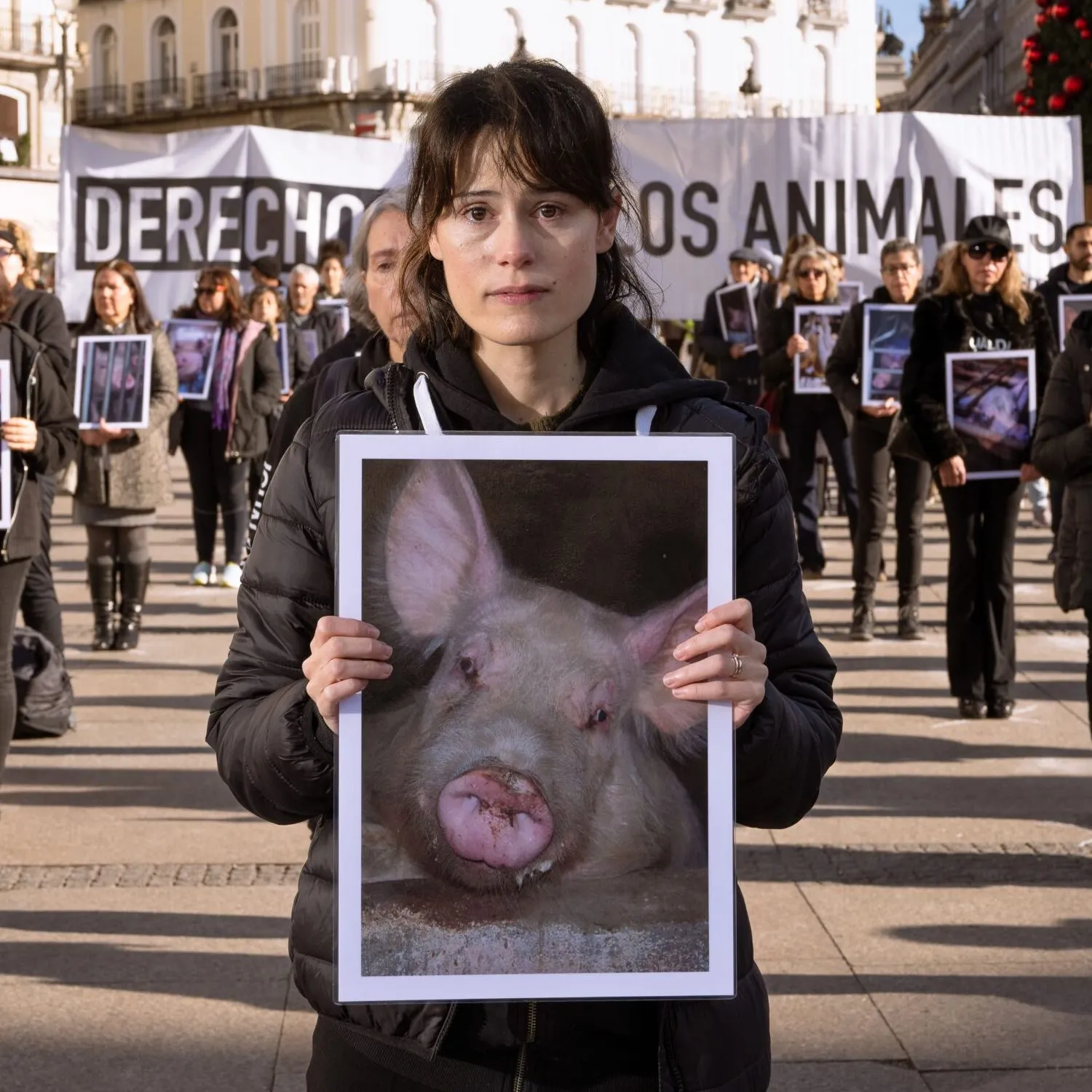 Día Internacional de los Derechos Animales 2026: Un encuentro en Madrid