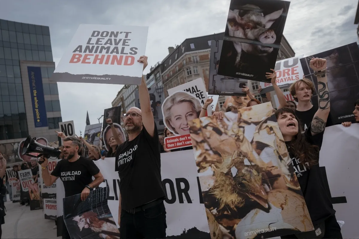 Histórica movilización por los animales en Bruselas 1 Activistas por los animales protestan frente al edificio Berlaymont en Bruselas.