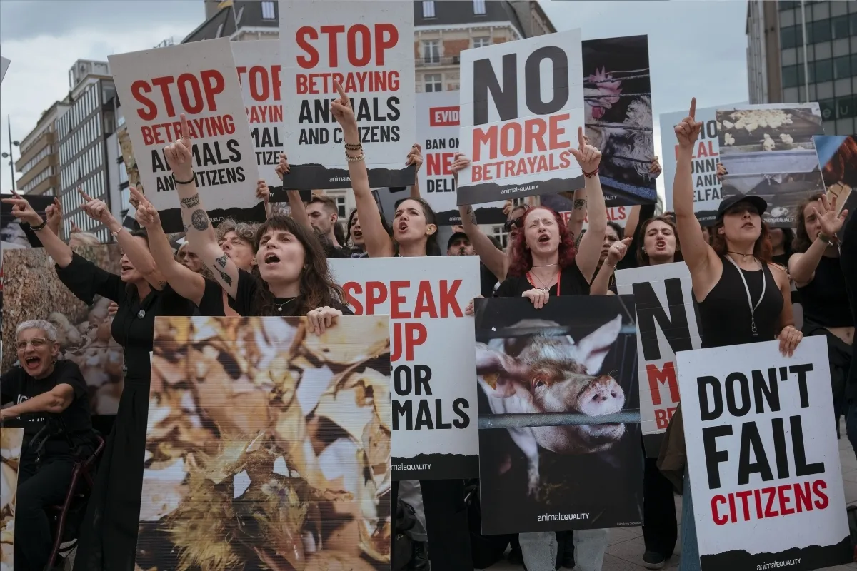 Histórica movilización por los animales en Bruselas 3 Activistas por los animales protestan frente al edificio Berlaymont en Bruselas.